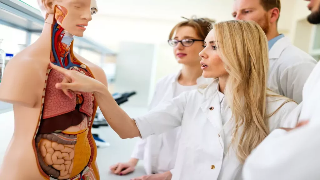 O Que é Uma Aula De Anatomia O Que é Uma Aula De Anatomia